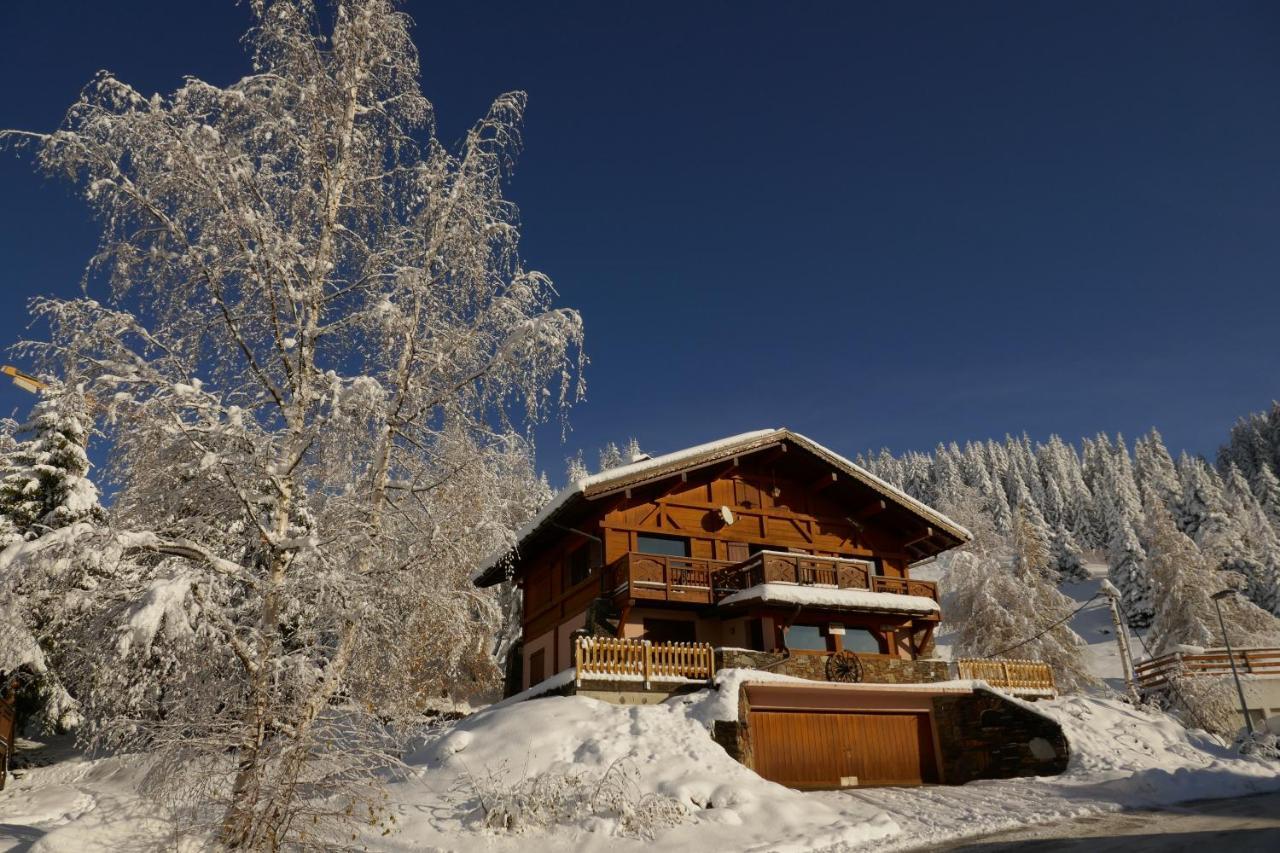 Les Saisies Cote Bisanne Appartement Dans Chalet Le Nepal מראה חיצוני תמונה