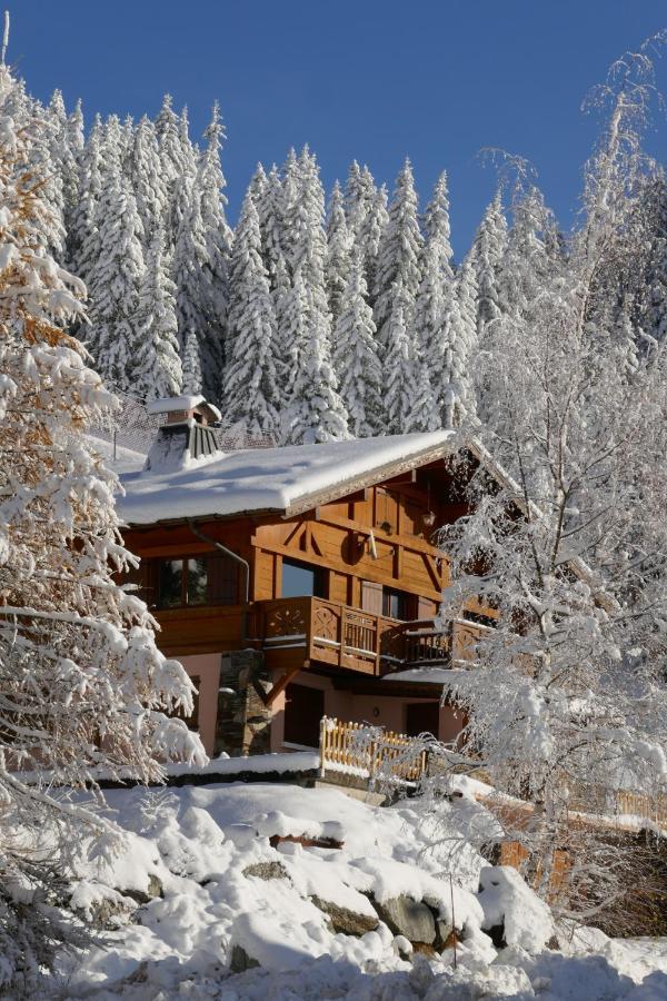 Les Saisies Cote Bisanne Appartement Dans Chalet Le Nepal מראה חיצוני תמונה